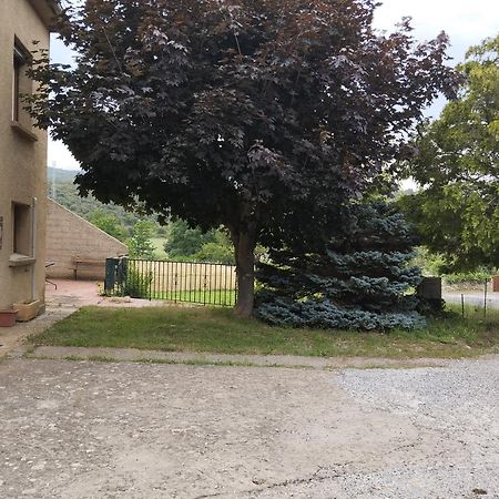 Maison Du Verdouble Rouffiac-des-Corbières Zewnętrze zdjęcie